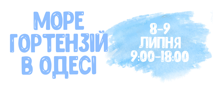 Море гортензій в Одесі